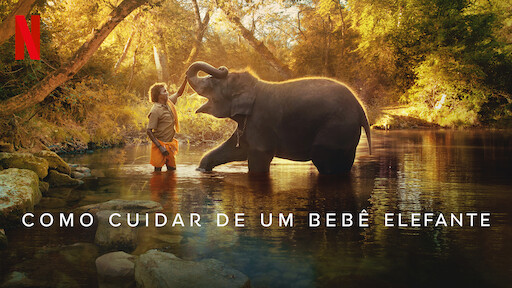 Como Cuidar de um Bebê Elefante | Site oficial da Netflix