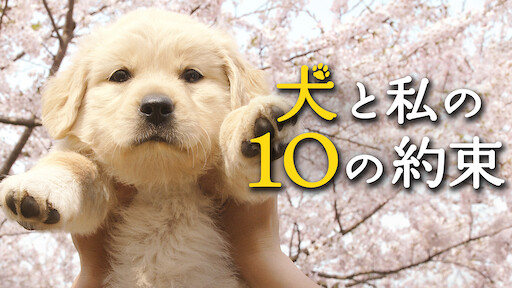 犬と私の10の約束 Netflix
